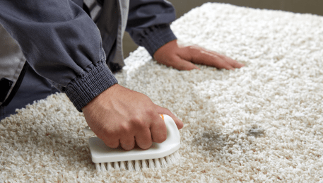 Professional Rug Cleaning Thornbury